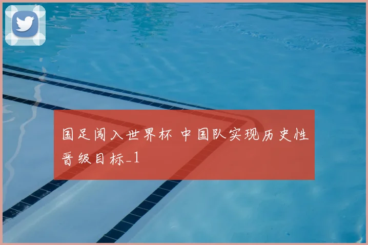 国足闯入世界杯 中国队实现历史性晋级目标_1