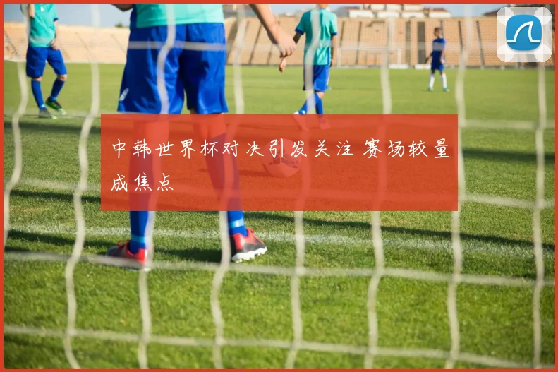 中韩世界杯对决引发关注 赛场较量成焦点