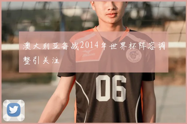 澳大利亚备战2014年世界杯阵容调整引关注