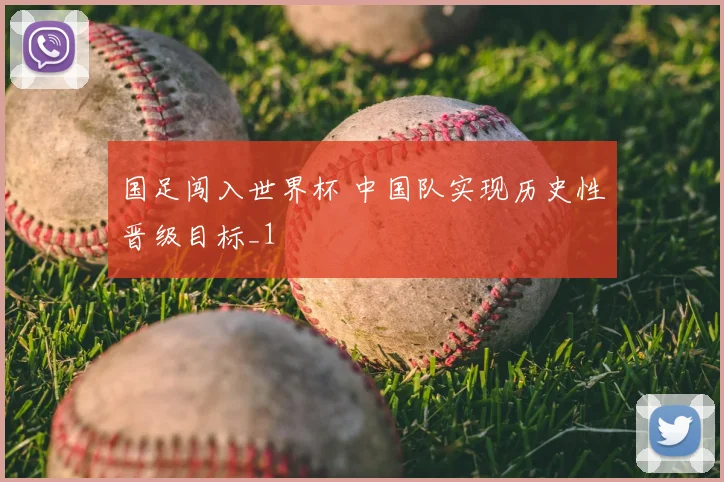 国足闯入世界杯 中国队实现历史性晋级目标_1