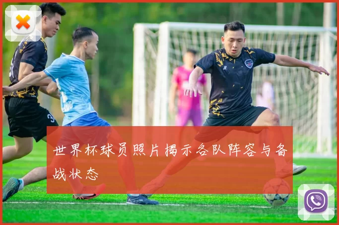 世界杯球员照片揭示各队阵容与备战状态