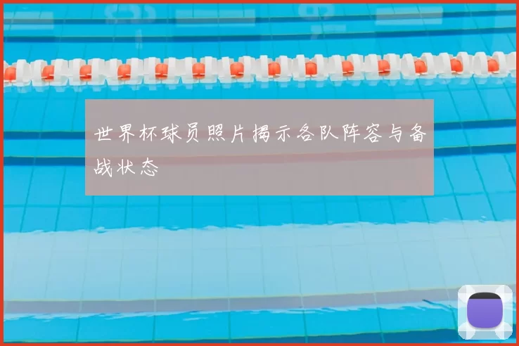 世界杯球员照片揭示各队阵容与备战状态