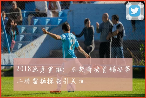 2018选秀重排:东契奇榜首锡安第二特雷杨探花引关注